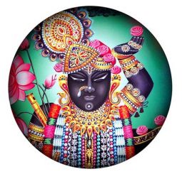 Luminous Magnet Sri Nathji